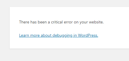 There has been a critical error on your website.